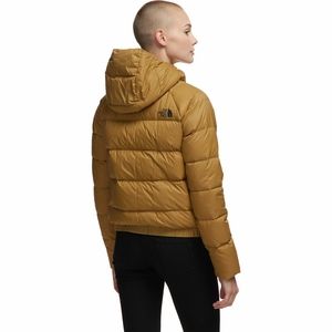 north face women's hyalite down hooded jacket